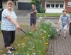 Der Sommer im AWG Garten